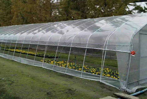 PE Plastic Film Poly Tunnel Greenhouse Single Span For Tomato Vegetable Flower