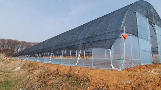 PE Plastic Film Poly Tunnel Greenhouse Single Span For Tomato Vegetable Flower
