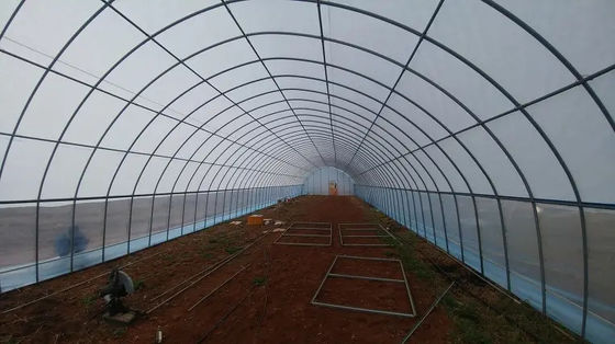 PE Plastic Film Poly Tunnel Greenhouse Single Span For Tomato Vegetable Flower