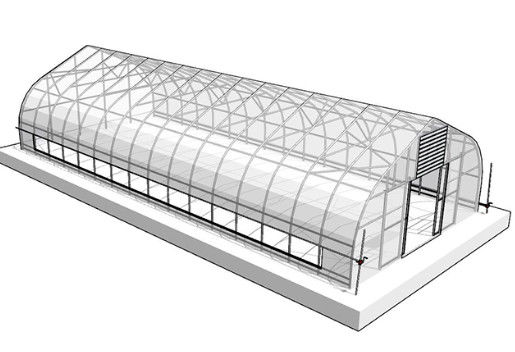 Agricultural Galvanized Tunnel Greenhouse Plastic Tomato Greenhouse With Bolt Connection