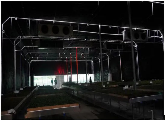 Agricultural 100% Blackout System Greenhouse With PE Film Cover