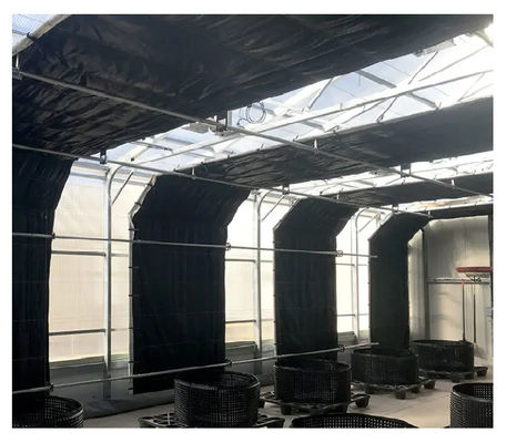 Agricultural 100% Blackout System Greenhouse With PE Film Cover