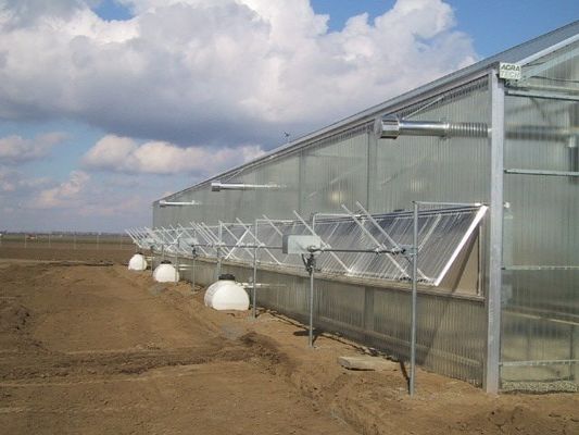 Transparent Plastic Film Greenhouse for Long Lasting Performance