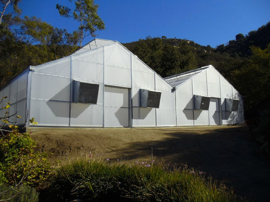 Lifespan 3-5 Years Plastic Film Greenhouse with 80%-90% Light Transmission