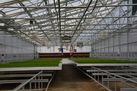 Transparent Plastic Film Greenhouse for Long Lasting Performance