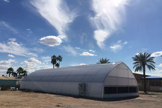 Aluminiowy Zynkowy Płatek Plastikowy Szklarnia Ochrona UV Przepuszczalność światła Przepuszczalność przeciw starzeniu