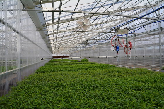 Anti-Drip Plastic Film Greenhouse Protect Your Crops from Dust and Contamination