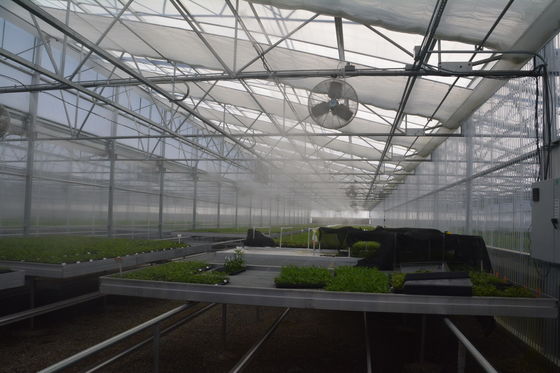 Greenhouse UV Protected Plastic Film Anti Drip 80%-90% Light Transmission Aluminum Zinc Plating
