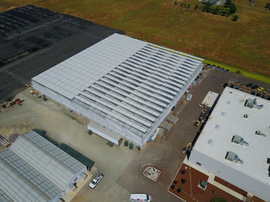 Transparent Plastic Film Greenhouse for Long Lasting Performance