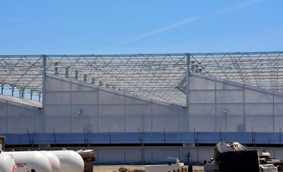 Transparent Plastic Film Greenhouse for Long Lasting Performance